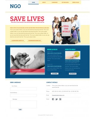 NGO template